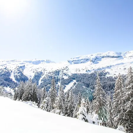 Spacious Iris, Foret Flaine